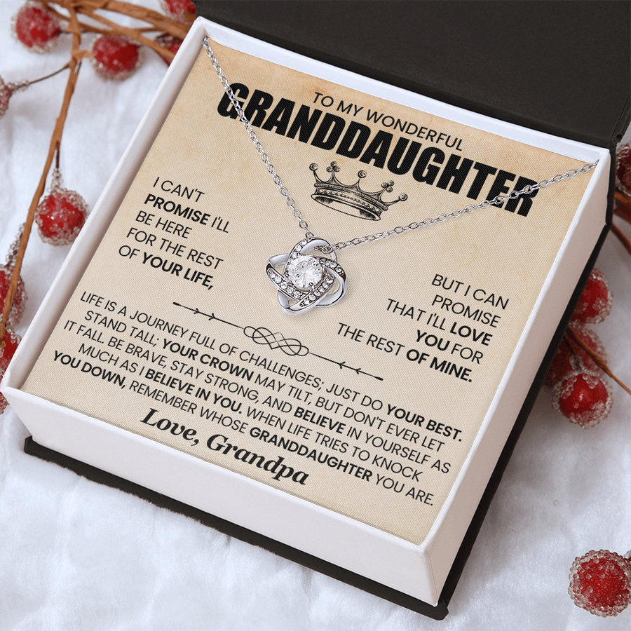 To My Granddaughter Necklace from Grandpa, Life Is a Journey Full of Challenges Just Do Your Best