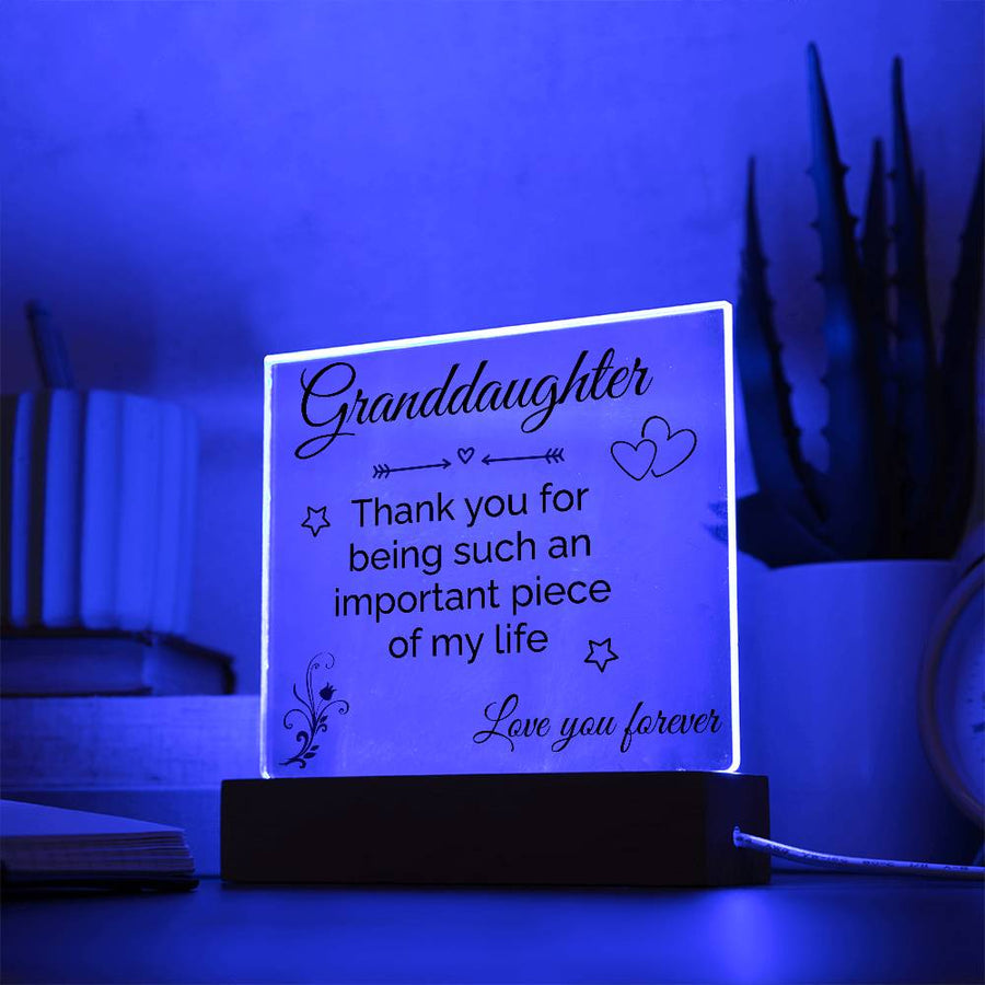 Birthday Gift for Granddaughter, Granddaughter Gifts from Grandparents