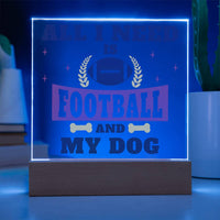 Load image into Gallery viewer, Unique Gift for Football Lovers, Birthday Gifts for Dog Lovers, Night Light Gift for Her
