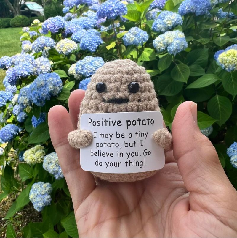 All Love Here Handmade Mini Wool Knitted Potato Toy with Positive Message Card – Positive Gifts
